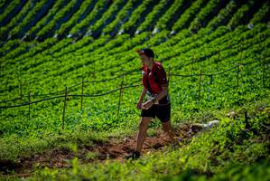 BIB: 
                            <button type="button" onclick="openModal(19161212)" class="btn btn-primary btn-sm float-right btn-popup" data-toggle="modal" data-target=".modal-high-quality">
                        <i class="fas fa-shopping-cart"></i> Add to Cart
                    </button>
                                            <button type="button" onclick="isThisMe(19161212, true)" class="btn btn-success btn-sm float-right btn-popup btn-isme hidden" data-toggle="tooltip" data-placement="bottom" title="นี่คือรูปของคุณใช่ไหม คลิกที่นี่เพื่อเอาเข้าอัลบั้ม">
                        <i class="fas fa-plus"></i> Add to album
                    </button>
                    <button type="button" onclick="isThisMe(19161212, false)" class="btn btn-warning btn-sm float-right btn-popup btn-isnotme hidden">
                        <i class="fas fa-ban"></i> Remove from album
                    </button>